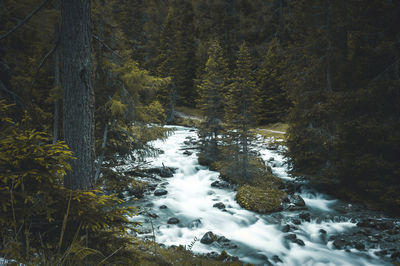 Mountain river in beautiful switzerland, canton bergün.