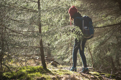 Woman walking in norwegian forest