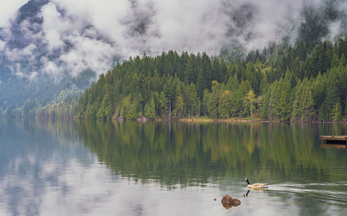 Scenic view of lake