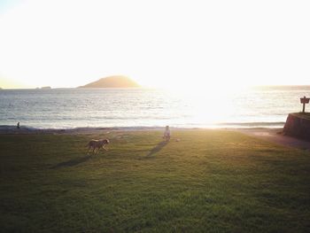 Scenic view of sea against sky