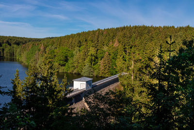 Scenic view of lake in forest against sky