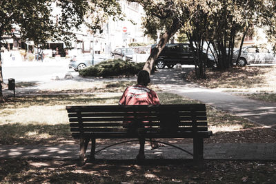 Rear view of man sitting on bench in park