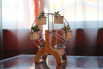 Close-up of potted plant on table at home