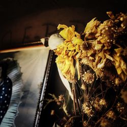 Close-up of flowers against blurred background