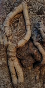 Close-up of animal sculpture
