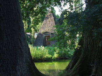 Trees and plants against building