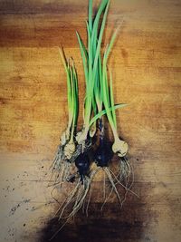 High angle view of vegetables on table