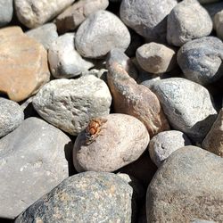 Full frame shot of stones