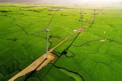 High angle view of green field