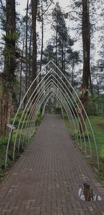 Empty footpath amidst trees in park