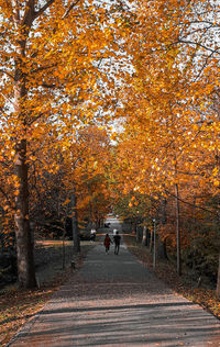 Rear view of people walking on footpath during autumn