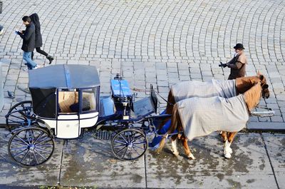 High angle view of horse carriage on street