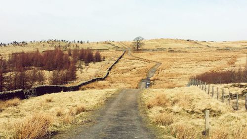 Scenic view of farm against clear sky