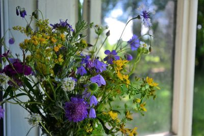 Close-up of purple flowering plants