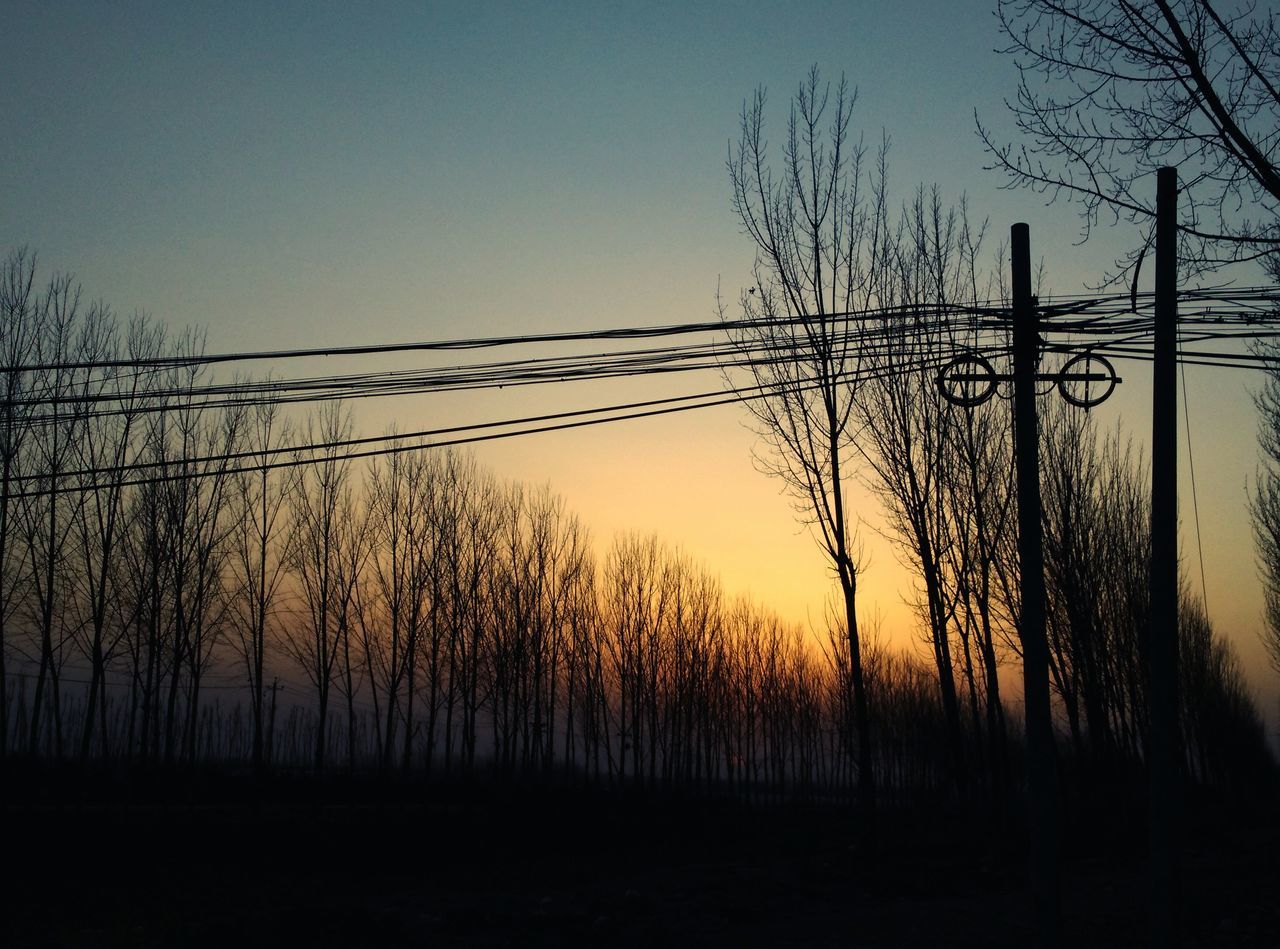 silhouette, sunset, clear sky, electricity pylon, power line, power supply, electricity, connection, bare tree, tree, dusk, cable, sky, fuel and power generation, copy space, low angle view, nature, tranquility, technology, outdoors