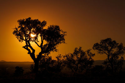 Silhouette tree against sky during sunset