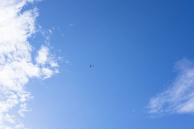 Low angle view of bird flying against blue sky