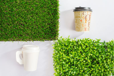 Directly above disposable cups with plants on table 