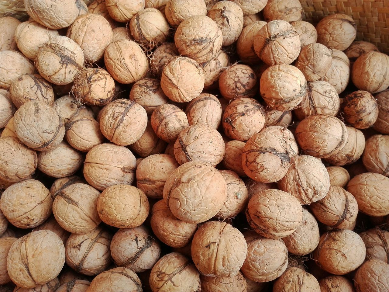 Ecologic walnuts