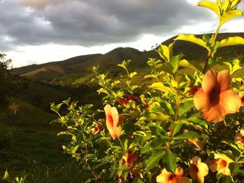 Scenic view of mountains against cloudy sky