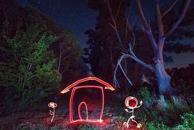 Digital composite image of illuminated trees and plants in forest