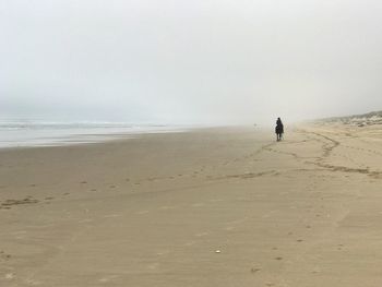 Rear view of man on beach against sky