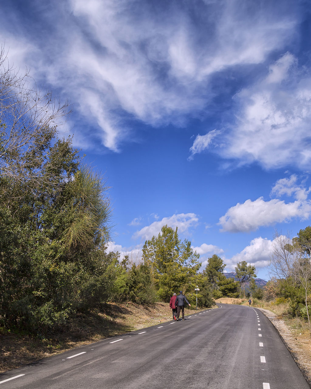 road, the way forward, transportation, sky, rear view, cloud - sky, tree, day, nature, full length, real people, one person, outdoors, landscape, scenics, beauty in nature, men, winding road, people