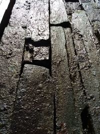 Full frame shot of tree trunk on wall