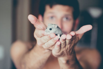 Close-up of hand holding lizard