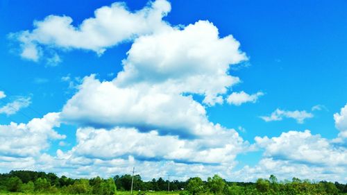 Low angle view of trees against blue sky