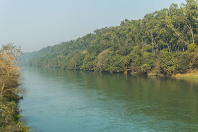 Scenic view of lake with trees in background