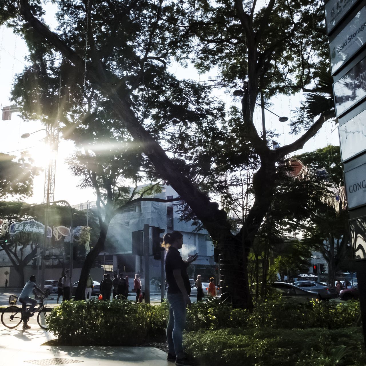 tree, real people, car, outdoors, men, day, transportation, lifestyles, growth, built structure, nature, building exterior, architecture, standing, one person, women, city, sky, adult, people