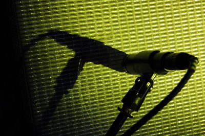 Shadow of camera on leaf
