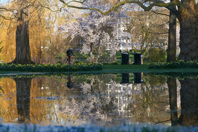 reflection