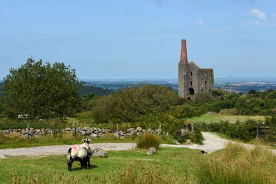 People on field by historic building against sky