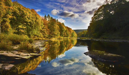 Reflection of trees in lake against sky