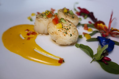 Close-up of served food in plate