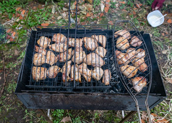 Picture with iron bars on which to bake meat, picnic in nature
