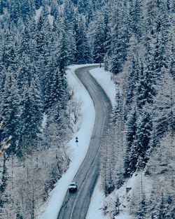 High angle view of snow covered trees