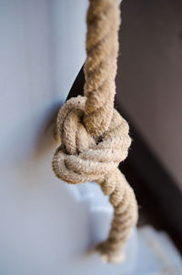 Close-up of rope tied up on wall