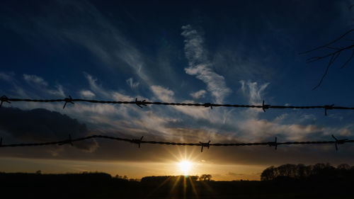 Low angle view of silhouette trees against sky during sunset