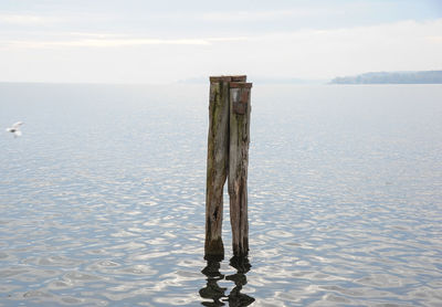 Wooden post in sea against sky