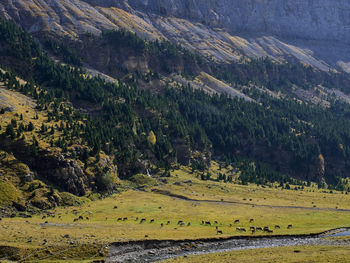 Views on the autumn hiking route in the ordesa valley, aragonese pyrenees, spain