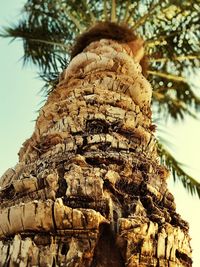 Low angle view of palm tree against sky