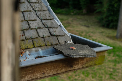 Close-up of wood