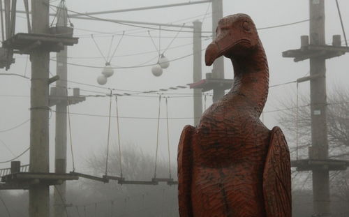 Close-up of bird sculpture