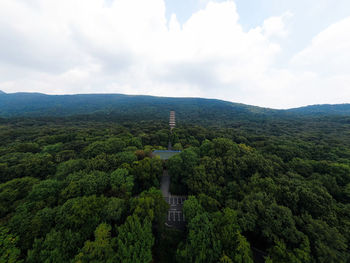 Panoramic view of trees and buildings against sky