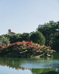 Scenic view of lake by trees against clear sky