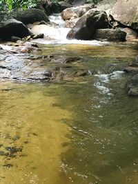 Scenic view of waterfall