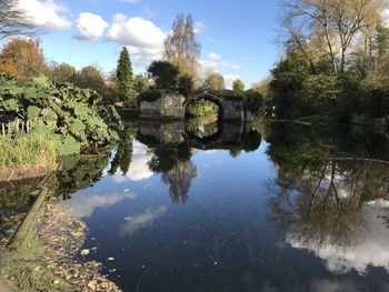 Scenic view of lake by trees against sky